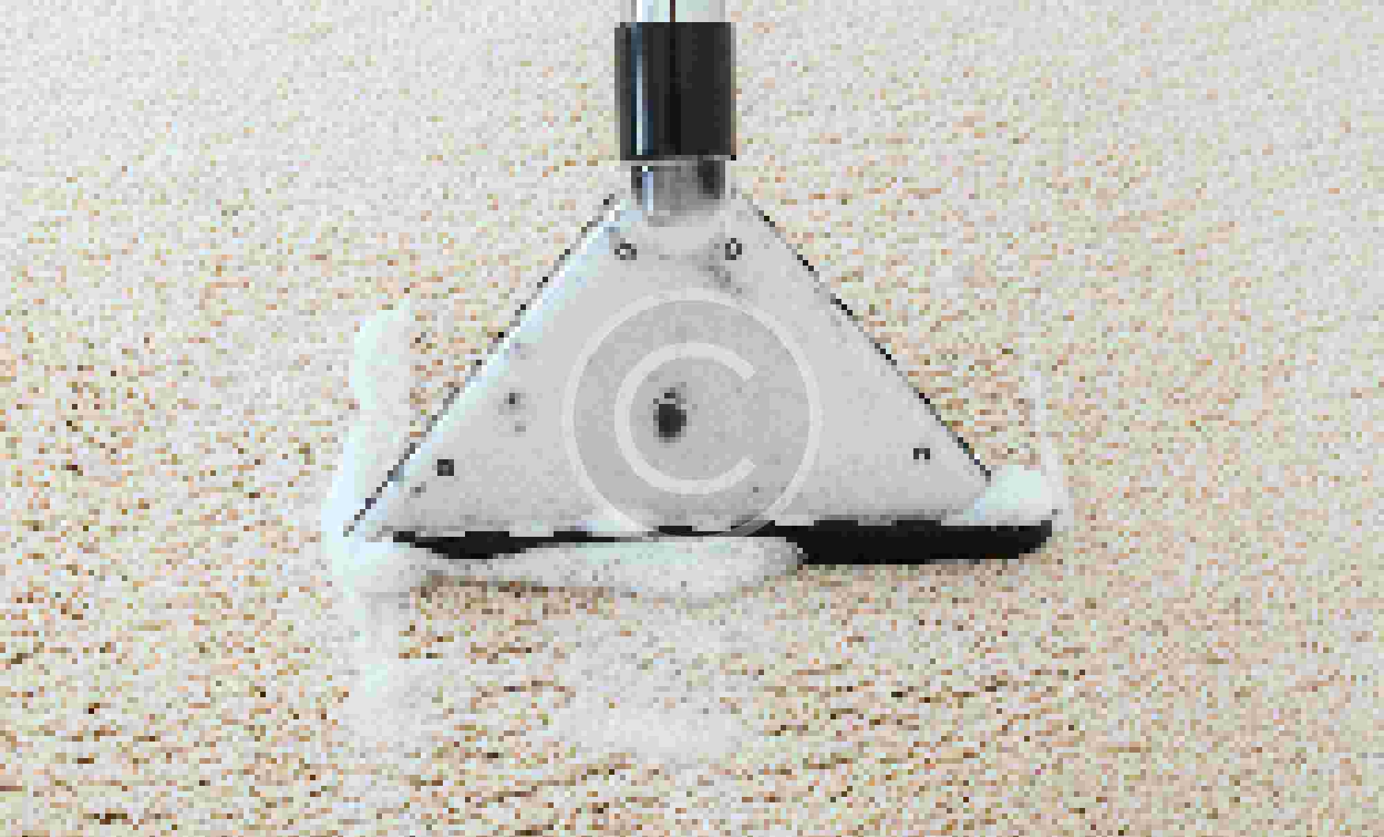 Hot Water Extraction RugClean.ie Rug Cleaning